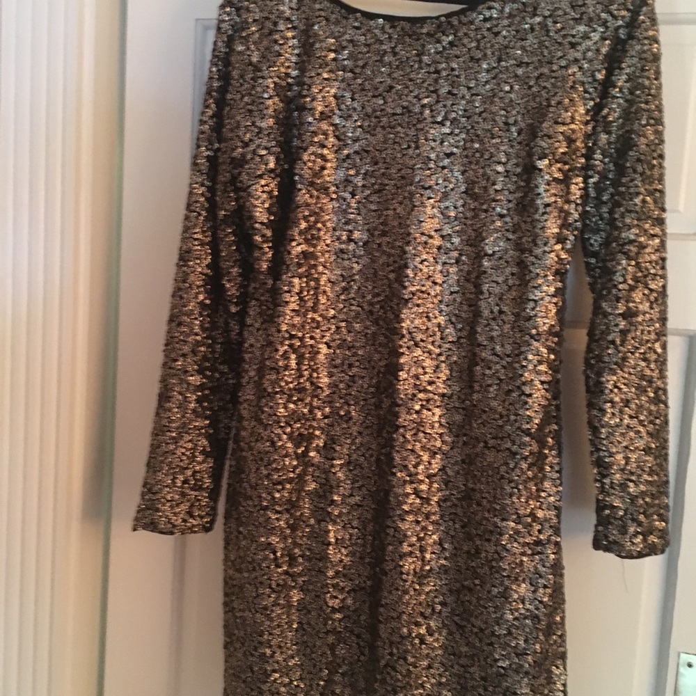Nwt bronze Sequined dress/ tunic